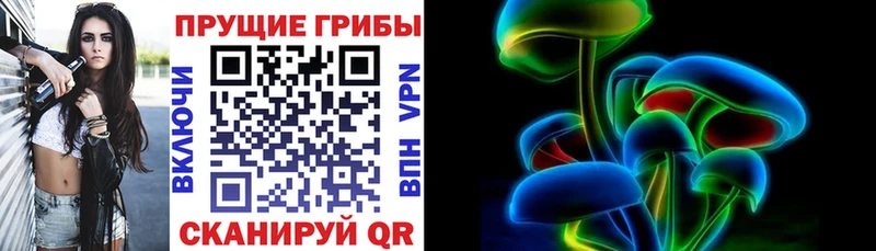 Купить  Геленджик  Псилоцибиновые грибы мицелий 